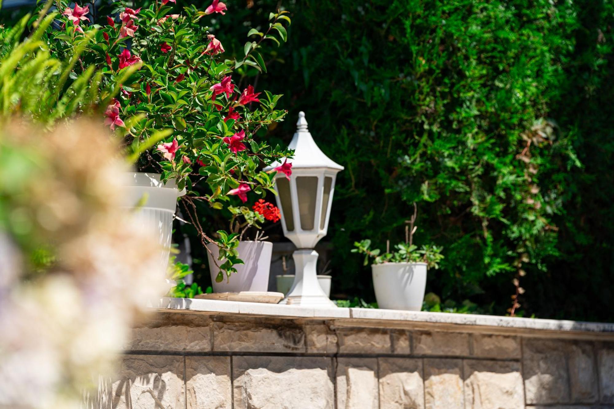 Sun Rose Apartments Sveti Stefan Dış mekan fotoğraf